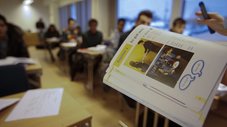 Avrupa’da yabancılar sadece İngilizce ile hangi ülkede daha kolay yaşayabilir?