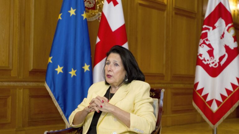 Gürcistan’da cumhurbaşkanı protestolara neden olan ‘yabancı etki’ yasasını veto etti