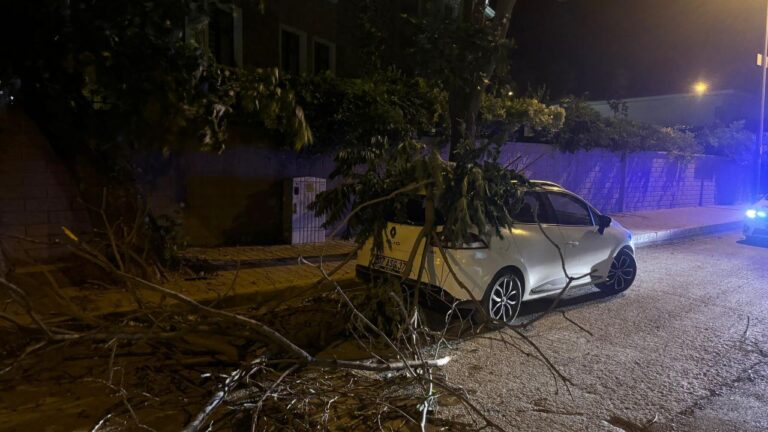 Adıyaman’da kuvvetli rüzgar etkili oldu