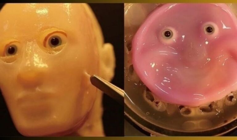 Le 11 cose più interessanti che le persone faranno ai robot nel 2024 – Last Minute Science Technology News